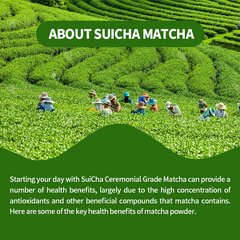 Suicha Matcha Powder Sticks Authentic Organic Japanese Matcha Green Tea Powder Ceremonial Grade 10 Sticks抹茶スティック